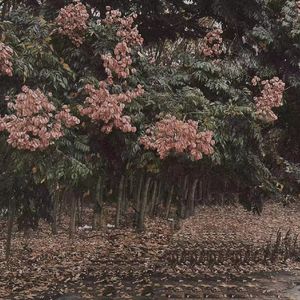 精品欧美一区二区精品久久久94
