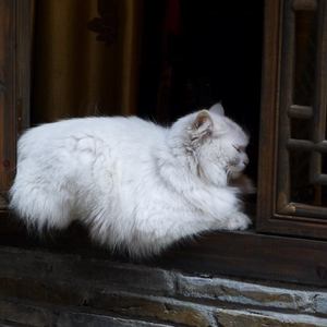 精品欧美一区二区精品久久久94
